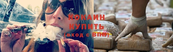 твердый Гусев