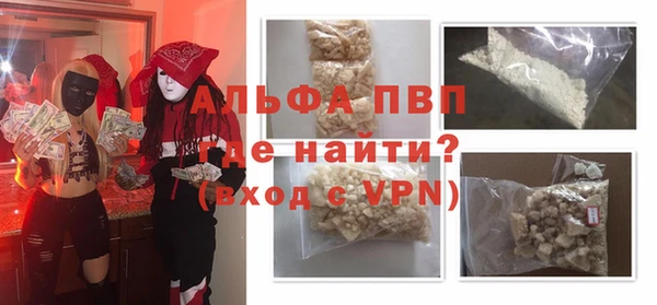 твердый Гусев