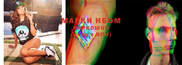 ГАЛЛЮЦИНОГЕННЫЕ ГРИБЫ Гусь-Хрустальный