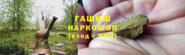 твердый Гусев