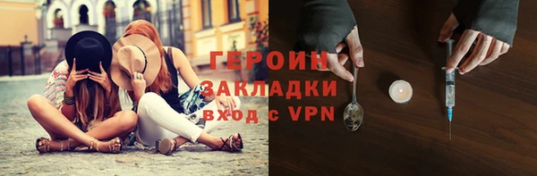 твердый Гусев