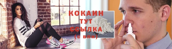 ГАЛЛЮЦИНОГЕННЫЕ ГРИБЫ Гусь-Хрустальный