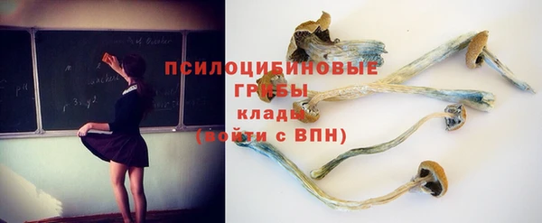 молекула духа Горно-Алтайск