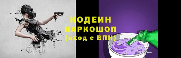 ГАЛЛЮЦИНОГЕННЫЕ ГРИБЫ Гусь-Хрустальный