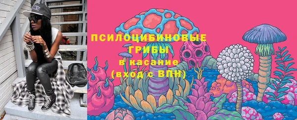 твердый Гусев