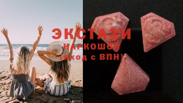 твердый Гусев