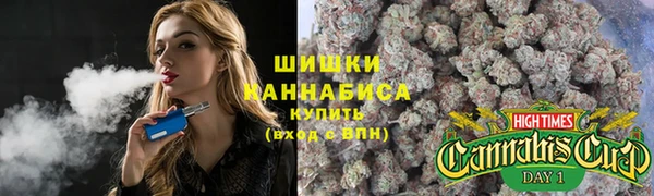 mdpv Гусиноозёрск