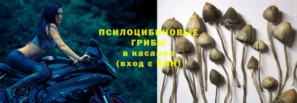 ECSTASY Горнозаводск
